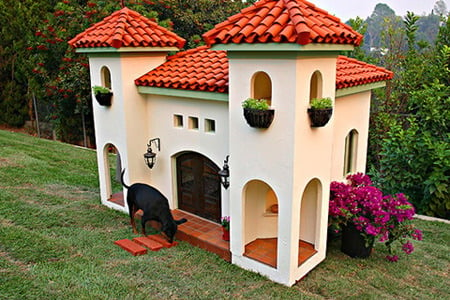 This dog mansion is probably the fanciest one I've seen! http://www.serenityhealth.com/blog/topics/pets/dog-house-types/page/2/