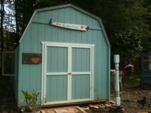 Blue chicken coup shed