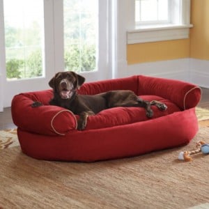contemporary-pet-beds-300x300