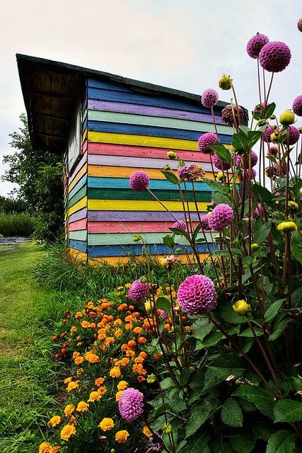 cool-shed-paint-jobs