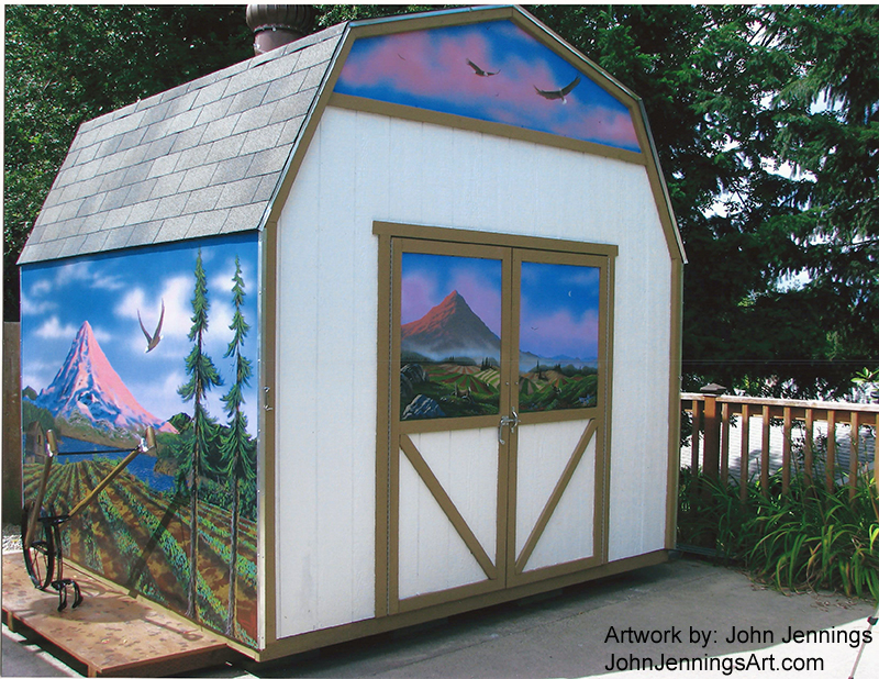 cool shed makeover