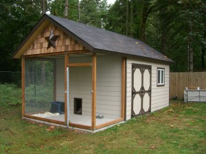 shed dog house